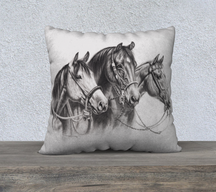 Pillow Covering Collection