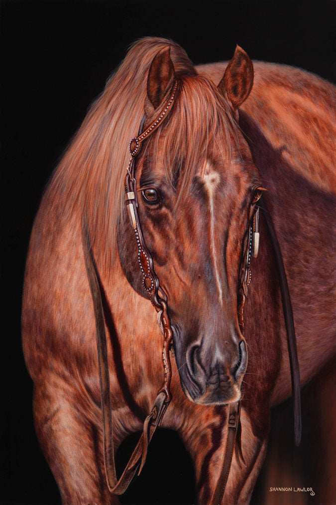 The Evolution of Metallic Cat– Shannon Lawlor Fine Art
