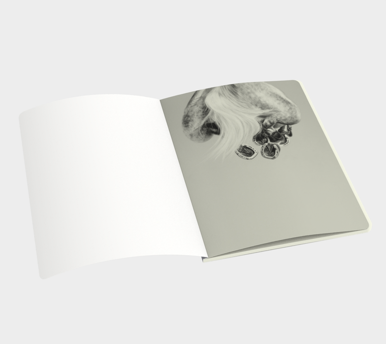 HANGTIME Notebook
