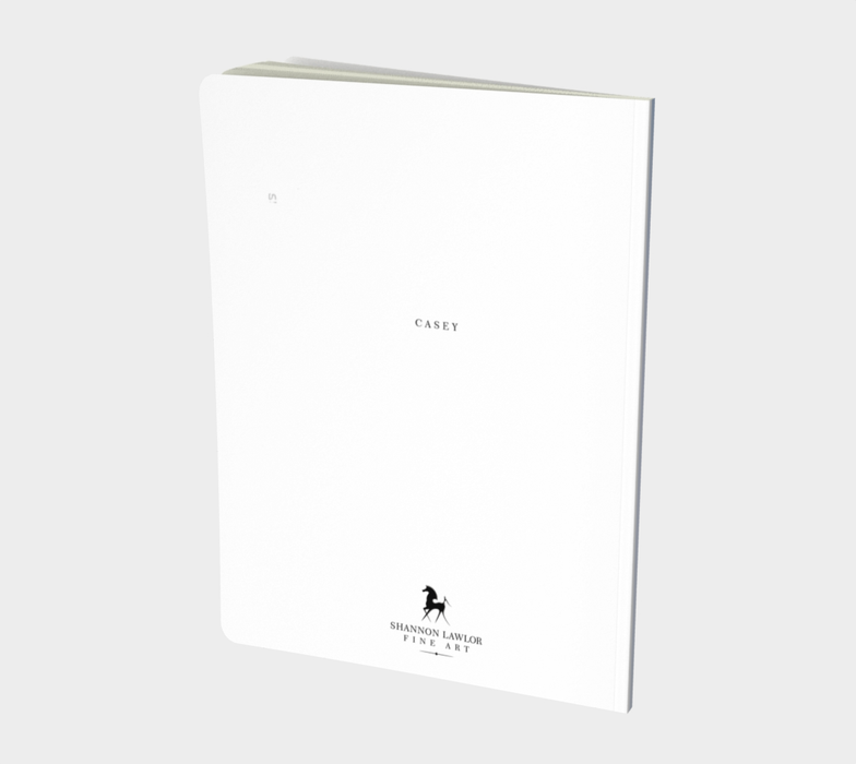 CASEY Notebook