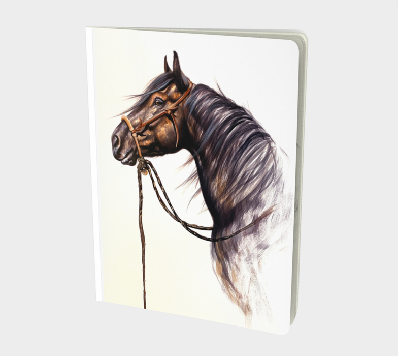 ZORRO Notebook