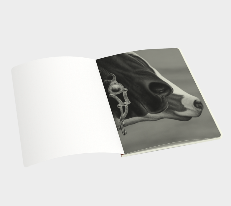 SOUL COLLECTOR Notebook