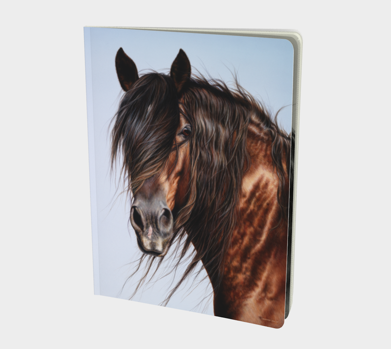 CASEY Notebook