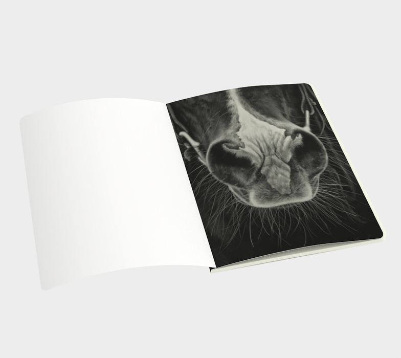 THE APPRENTICE Notebook