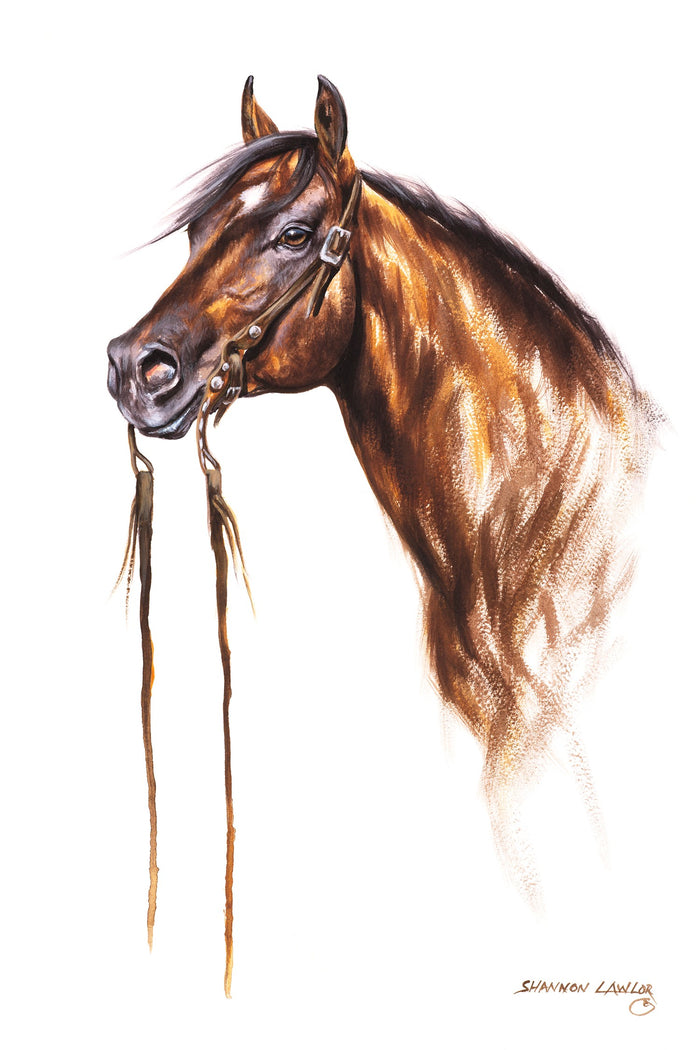 Western Performance Prints