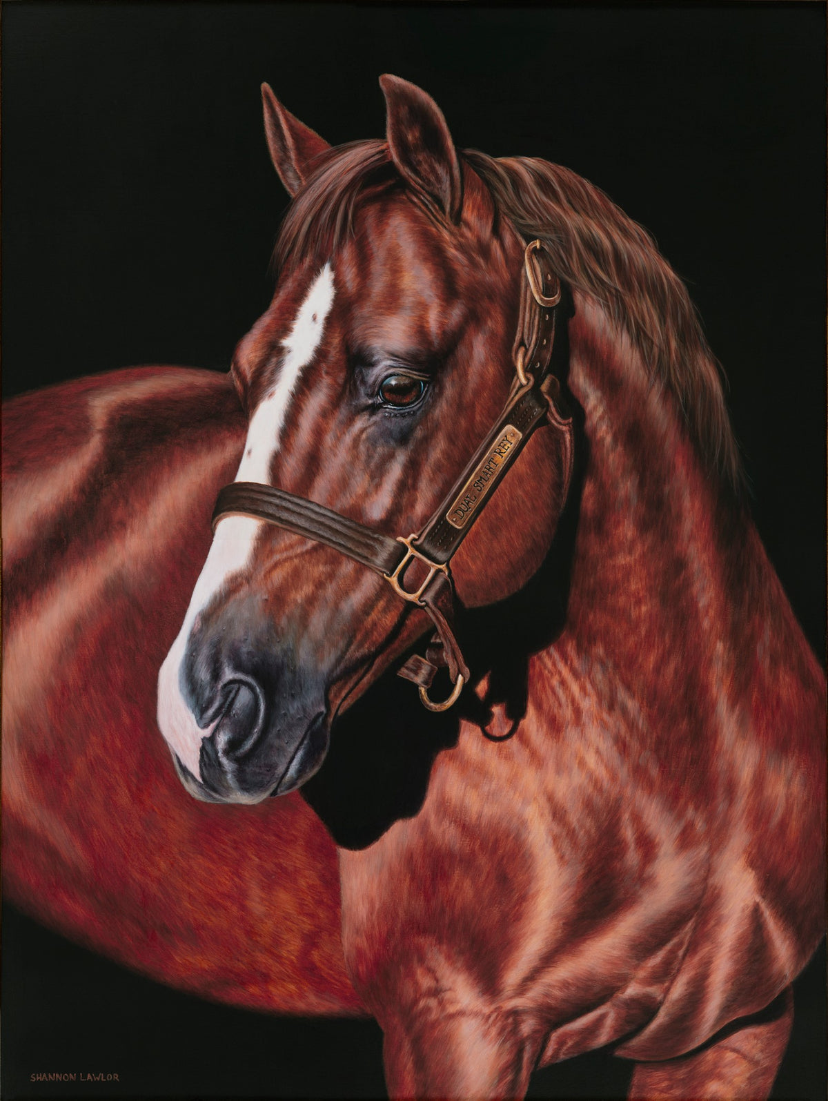 DUAL SMART REY– Shannon Lawlor Fine Art