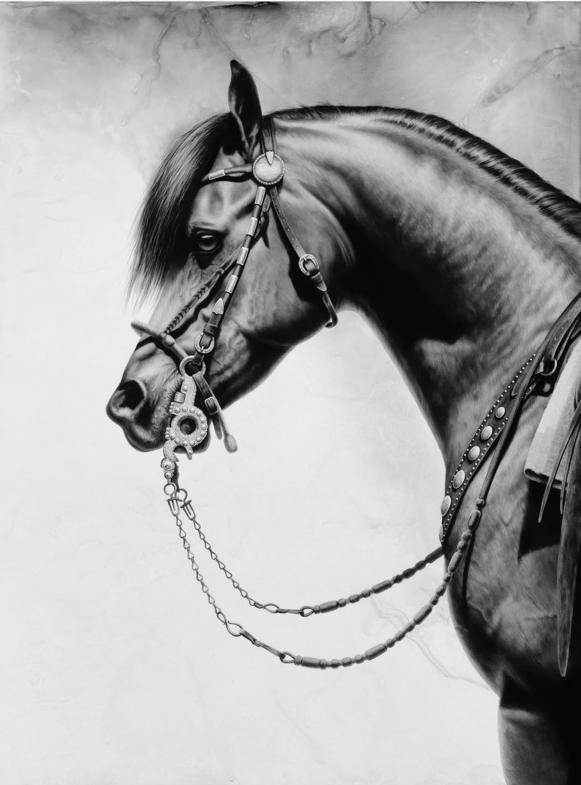 THE VAQUERO COLLECTION