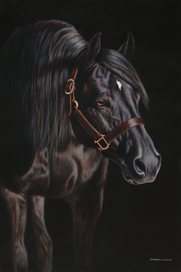 Western Performance Prints