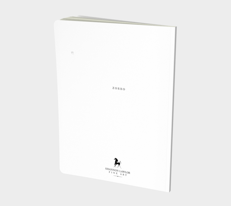 ZORRO Notebook