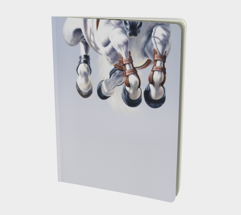 HANGTIME Notebook