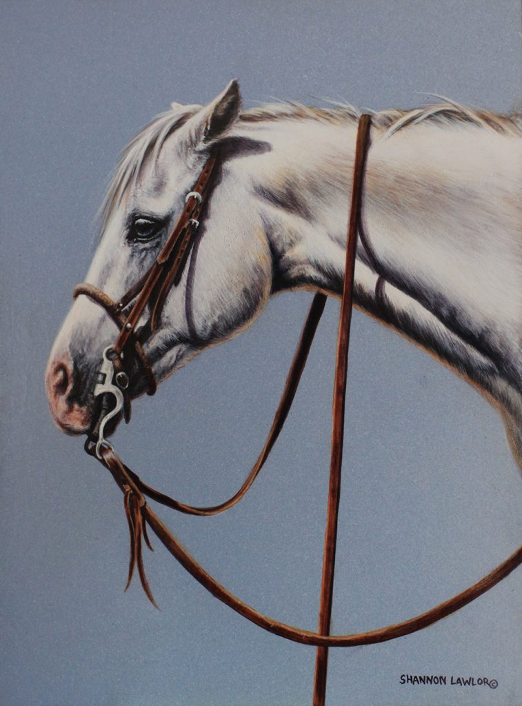 Grey Texas ranch horse art original painting by Calgary Artist Shannon Lawlor