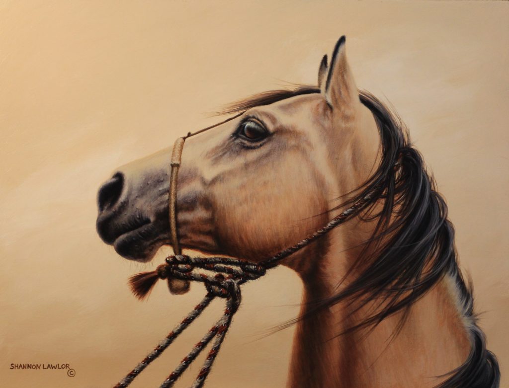 Buckskin bridle horse art original painting by Calgary artist Shannon Lawlor