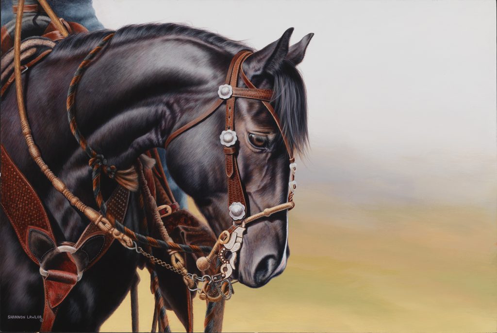 Charro acrylic commission by Calgary Equine Artist Shannon Lawlor