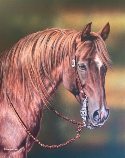 Custom Equine Portrait